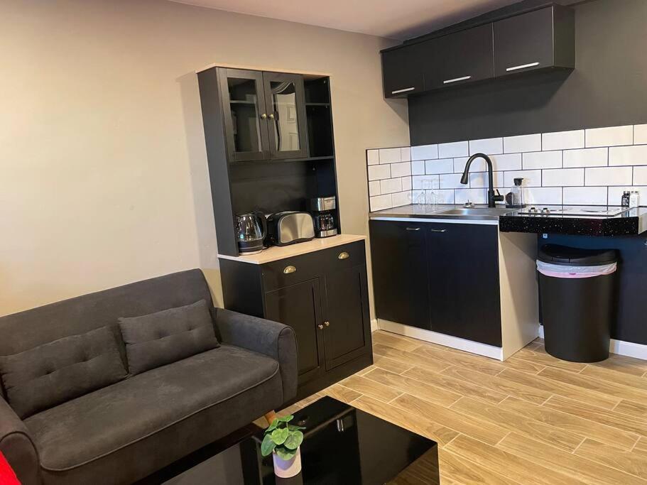 New Midtown Modern Studio With Backyard 피닉스 외부 사진